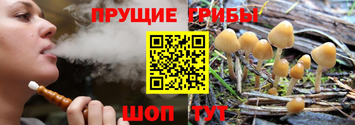Сердобск  Галлюциногенные грибы MAGIC MUSHROOMS  Галлюциногенные грибы Magic Shrooms  где можно купить наркотик  Вход с VPN 